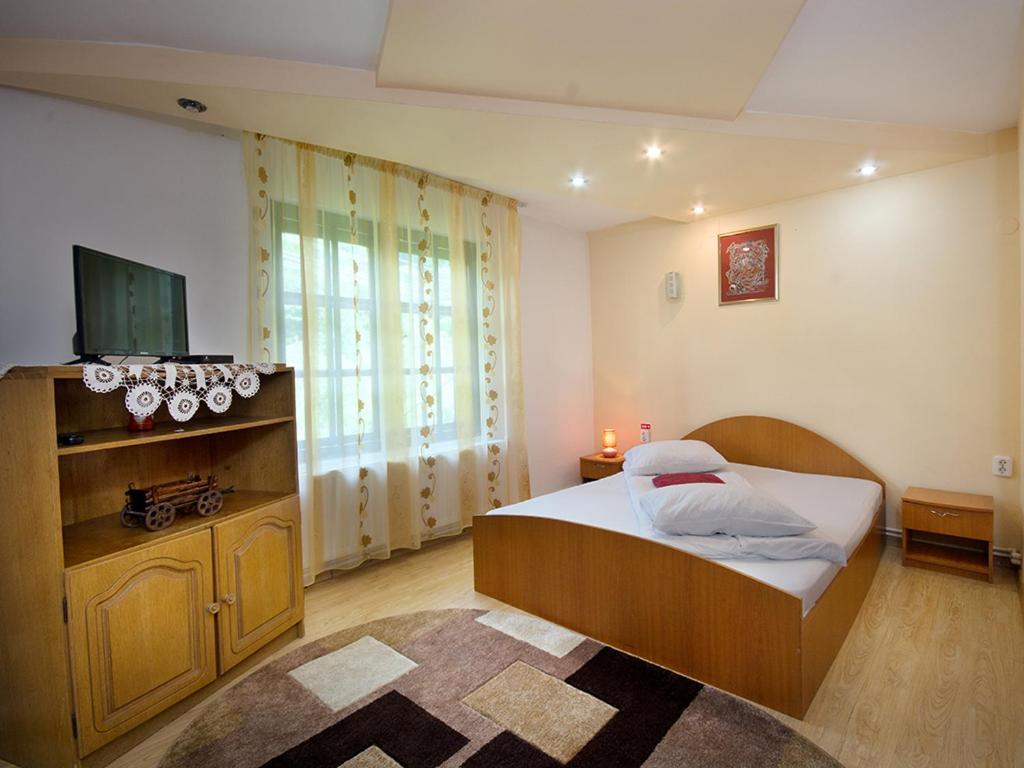 Hotel Pensiunea Bobu à Izvoru Muntelui Extérieur photo