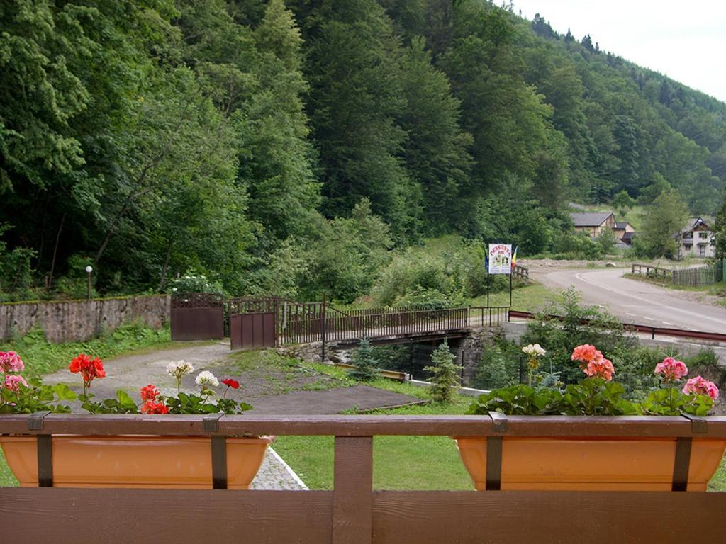 Hotel Pensiunea Bobu à Izvoru Muntelui Extérieur photo