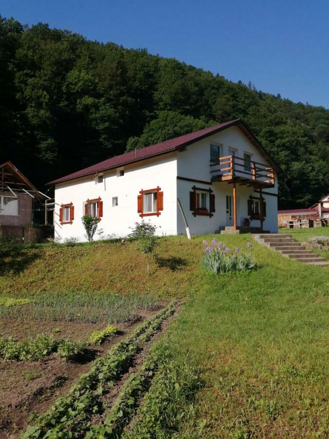 Hotel Pensiunea Bobu à Izvoru Muntelui Extérieur photo