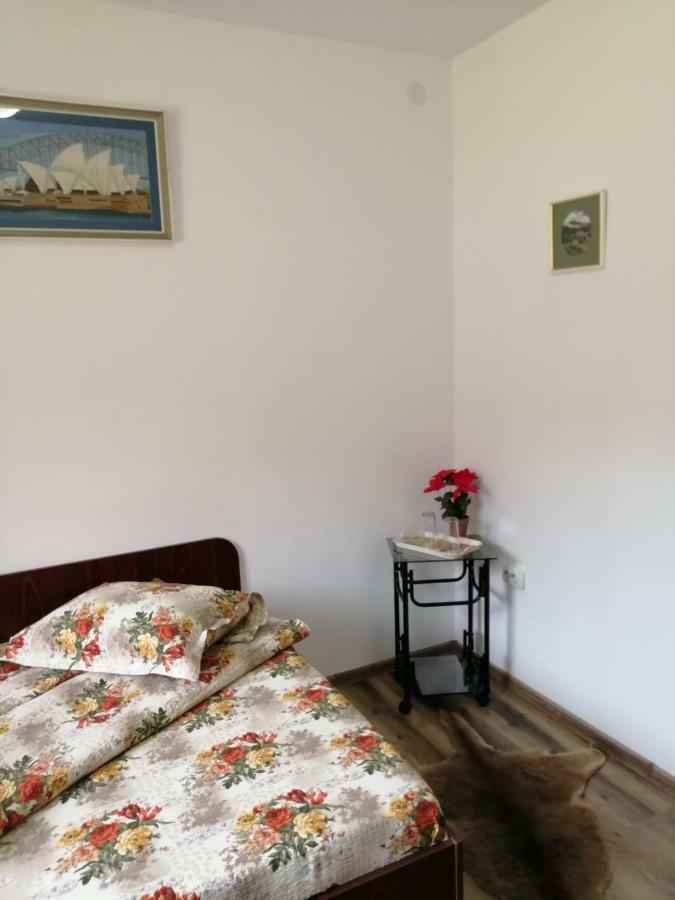 Hotel Pensiunea Bobu à Izvoru Muntelui Extérieur photo