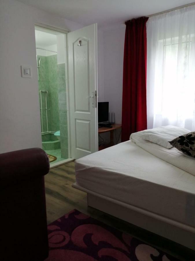 Hotel Pensiunea Bobu à Izvoru Muntelui Extérieur photo