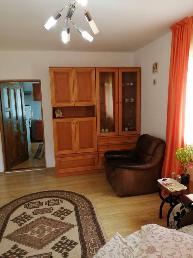 Hotel Pensiunea Bobu à Izvoru Muntelui Extérieur photo