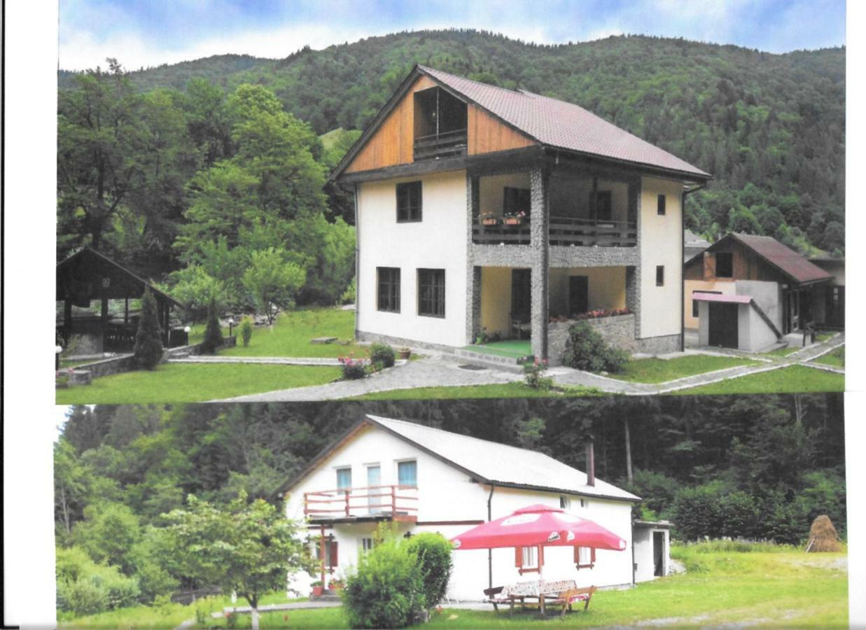 Hotel Pensiunea Bobu à Izvoru Muntelui Extérieur photo