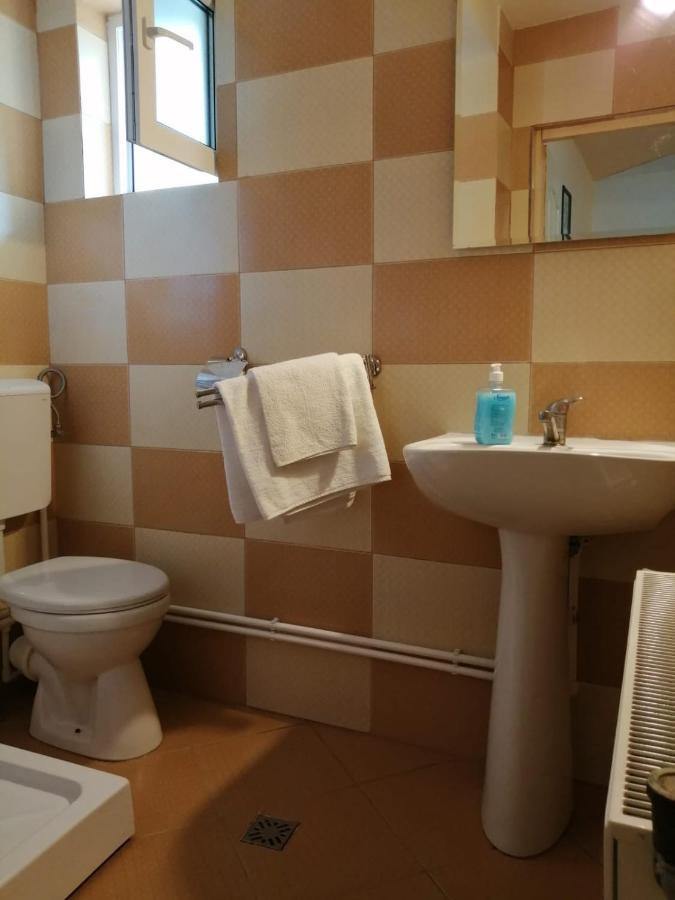 Hotel Pensiunea Bobu à Izvoru Muntelui Extérieur photo